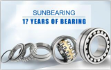 Cheap bearings from China